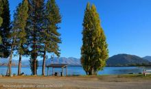 新西兰之旅_1500字