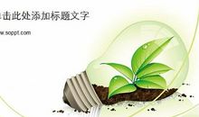 最坚强的生命_700字