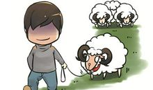 有关“羊”的成语集解