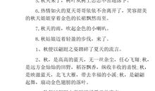 描写小鸟的拟人句