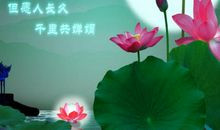 为友谊祝福_750字