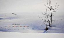 忧伤的雪，思念的疼_1500字