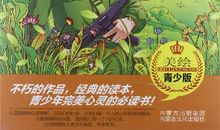 《雷锋的故事》读书笔记_550字