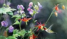 沈阳2008年度作文看似好写实有深意_1000字