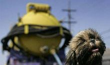 可怕的一幕 _200字