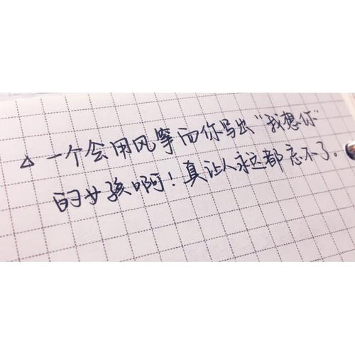 “窃取阴影的人”阅读笔记_1500字