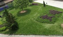 美丽的校园_750字