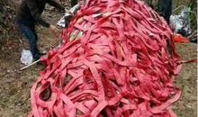 清明节扫墓_450字