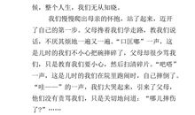 父亲——关于父亲的优秀作文