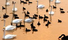 冬天里的故事_700字