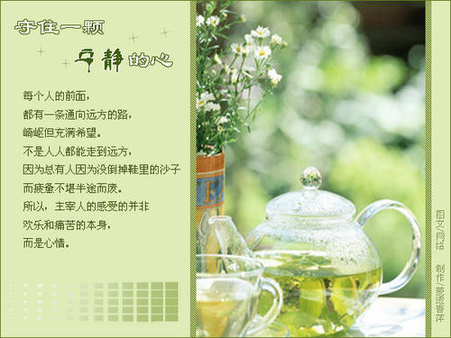 持续一个安静的心_600字