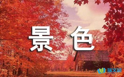 想想在初夏_300字