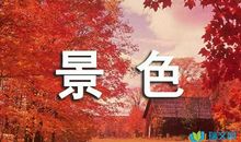 初夏的暗想_300字