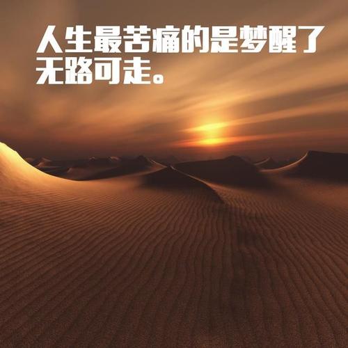 努力走到生命_1000字