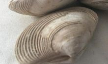 天上天下，独一无二_1200字