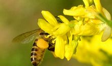 一年之计在于春_900字