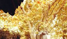 逆境中真的可以成才吗？_750字