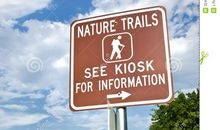 树之痕迹_1000字