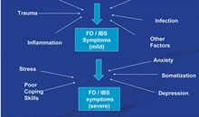 The Development of Guangzhou_3000字