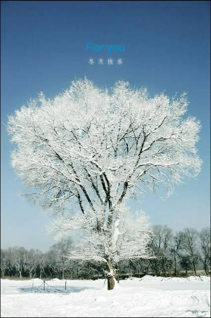 冬天快乐_650字