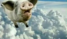 孩子，你飞吧！_1200字