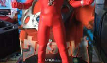 我的雷欧_1200字