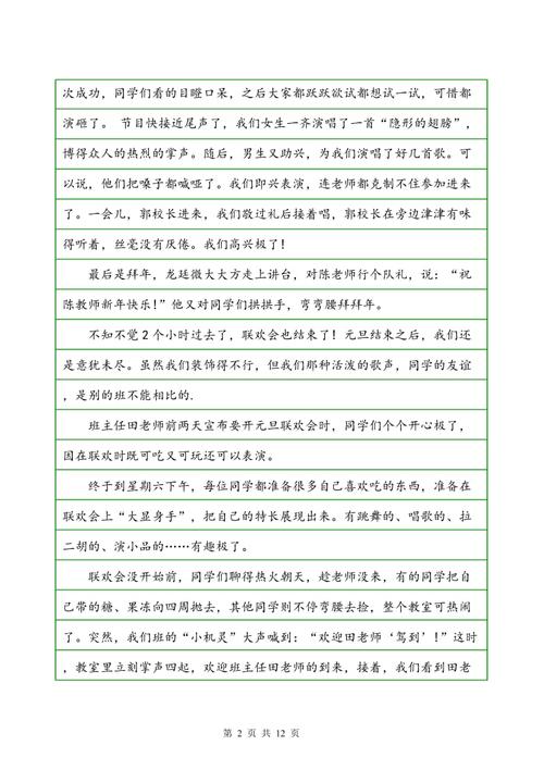 关于新年的作品：令人难忘的新年前夜派对_450字