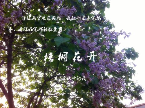 花开_1200字