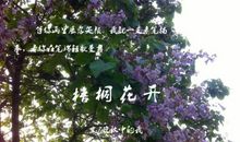梧桐花儿开_1200字