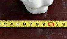 天使安琪儿_1500字