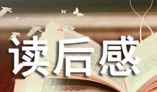 坚持的人生_700字