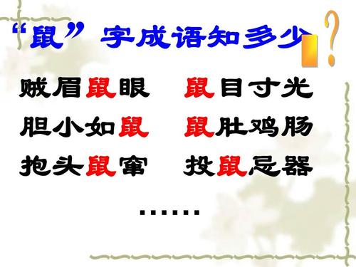 关于鼠的成语