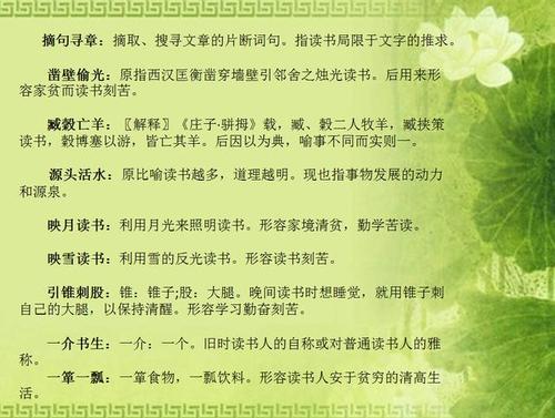 五年级：陈益新
