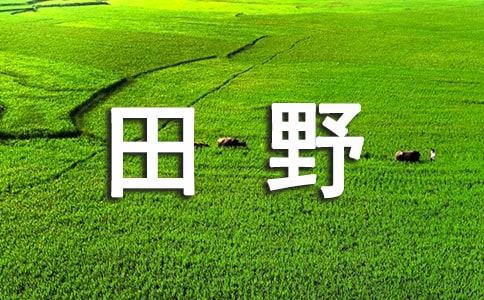 美丽的字段_550字