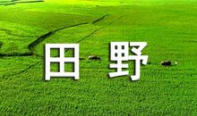美丽的田野_550字