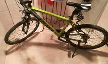 修自行车的师傅_500字