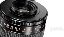 看鸟去——未来一镜头_500字