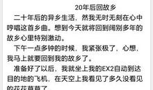 二十年后回故乡_800字