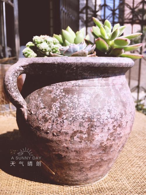 下午阳光_900字