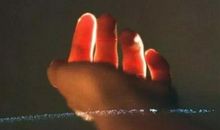 时机在等待中来_700字