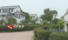 爱的小花园_200字