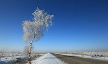 我爱你“塞北”的雪_800字