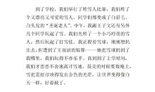 2007年的第一场雪_400字