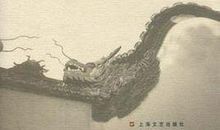 琵琶声里的人生_1200字