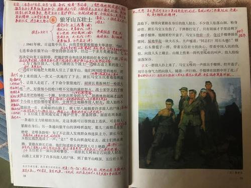 阅读“狼山五英雄”感觉_300字