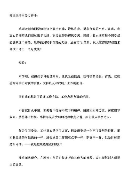 学习委员会摘要