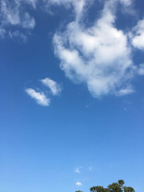 精细感觉_1200字
