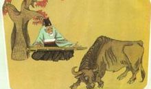 对牛操琴