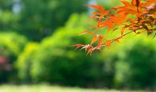 让爱永驻心间_900字