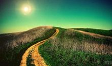 风雨中，坚定脚步_800字